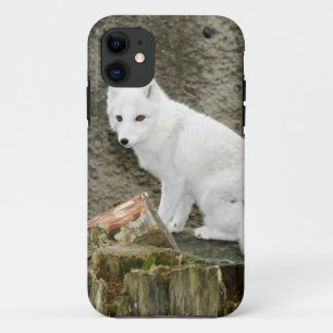 Weißer arktischer Fuchs Case-Mate iPhone Hülle