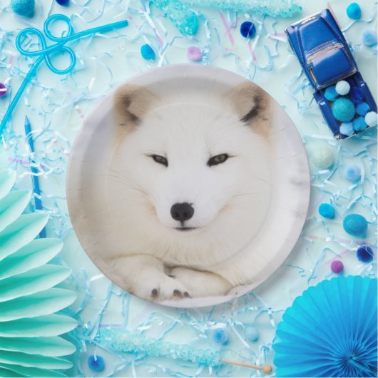 Weißer arktischer Fuchs im Schnee Pappteller (Party)