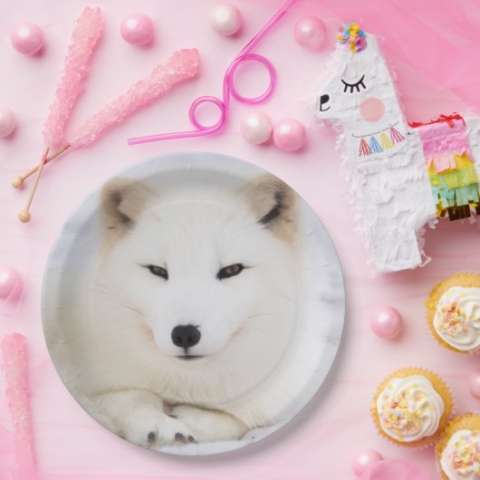 Weißer arktischer Fuchs im Schnee Pappteller (Party)