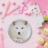 Weißer arktischer Fuchs im Schnee Pappteller (Party)