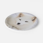 Weißer arktischer Fuchs im Schnee Pappteller (Schrägansicht)