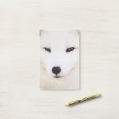 Weißer arktischer Fuchs im Schnee Post-it Klebezettel (Auf Schreibtisch)