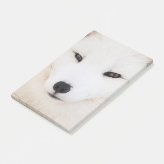 Weißer arktischer Fuchs im Schnee Post-it Klebezettel (angewinkelt)