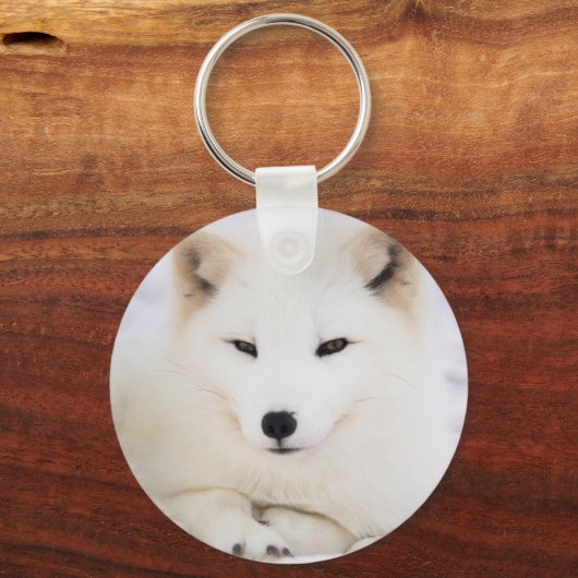 Weißer arktischer Fuchs im Schnee Schlüsselanhänger (Vorderseite)