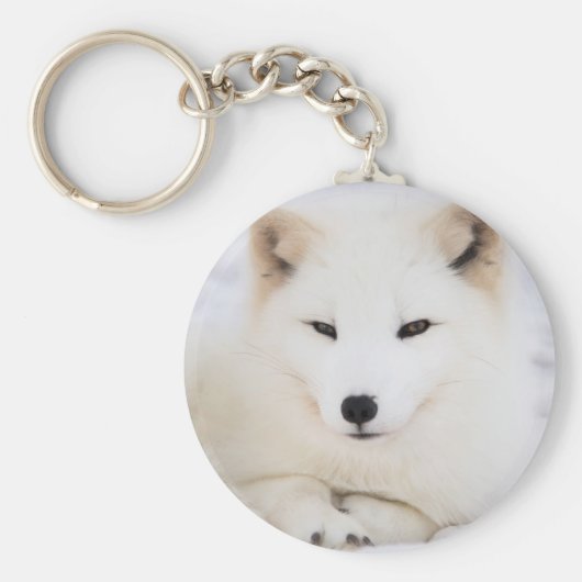 Weißer arktischer Fuchs im Schnee Schlüsselanhänger (Vorne)