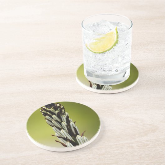 Weißer Asphodel (Asphodelus albus) Getränkeuntersetzer (Seite)