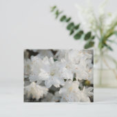 Weißer Azalee 2008 Postkarte (Stehend Vorderseite)