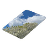 Weißer Baum Blauer Himmel Wolken Foto Magnet (Linke Seite)