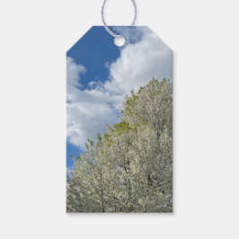 Weißer Baum Blaues Himmel Wolken Foto Geschenkanhänger