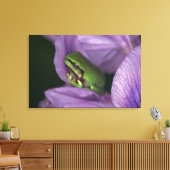 Weißer Baumfrosch Leinwanddruck (Insitu (Wohnzimmer))