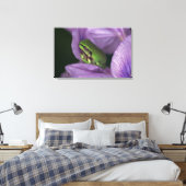 Weißer Baumfrosch Leinwanddruck (Insitu (Schlafzimmer))