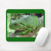 Weißer Baumfrosch - Litoria caerulea Mousepad (Mit Mouse)