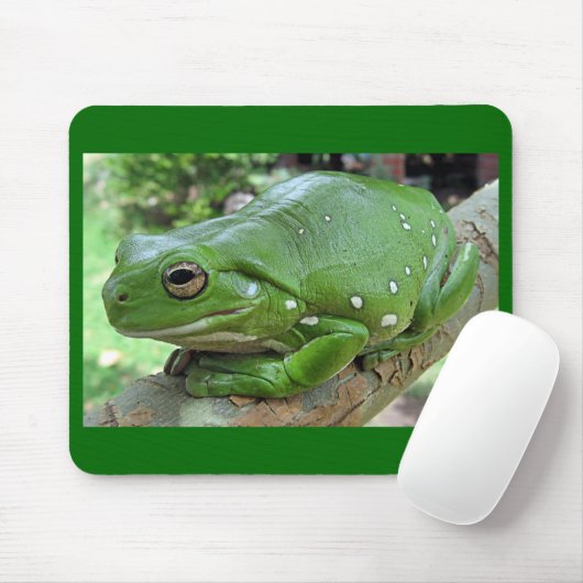 Weißer Baumfrosch - Litoria caerulea Mousepad (Mit Mouse)