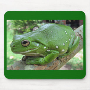 Weißer Baumfrosch - Litoria caerulea Mousepad