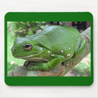 Weißer Baumfrosch - Litoria caerulea Mousepad