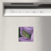 Weißer Baumfrosch Magnet (In Situ (Geschirrspüler))