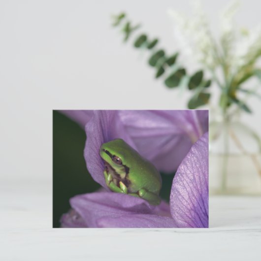 Weißer Baumfrosch Postkarte (Stehend Vorderseite)