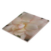 Weißer Begonia-Blume Fliese (Seite)