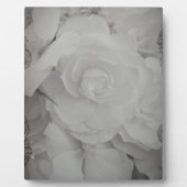 Weißer Begonia Fotoplatte (Vorderseite)