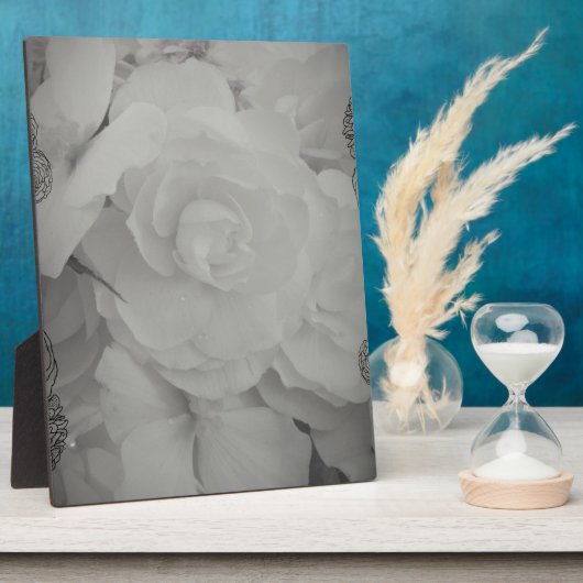 Weißer Begonia Fotoplatte (Seite)