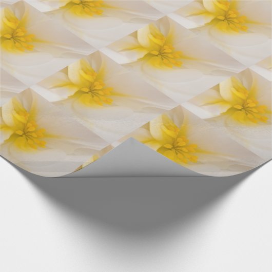 Weißer Begonia Geschenkpapier (Ecke)