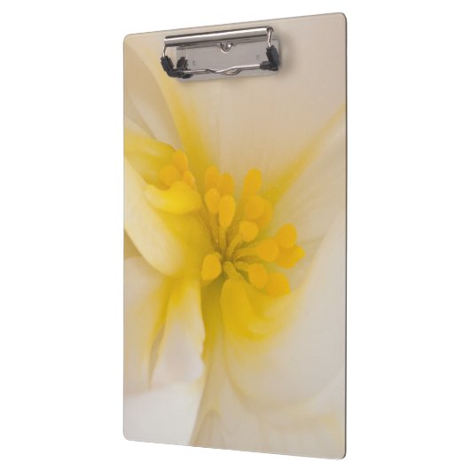 Weißer Begonia Klemmbrett (Links)