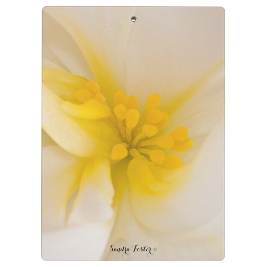 Weißer Begonia Klemmbrett (Rückseite)