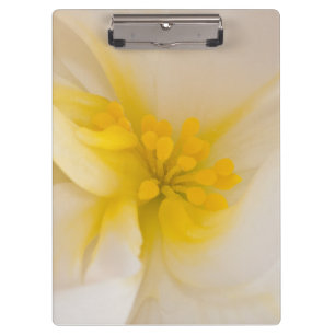 Weißer Begonia Klemmbrett