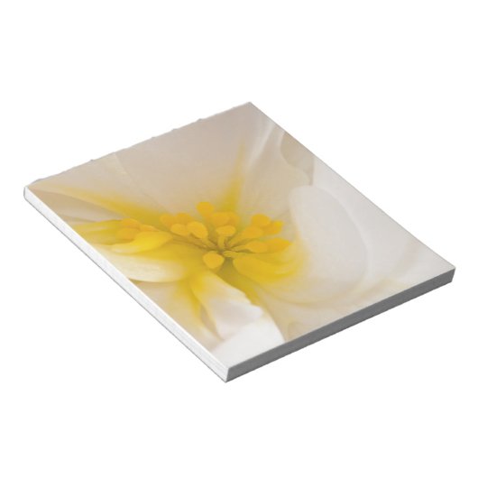 Weißer Begonia Notizblock (angewinkelt)