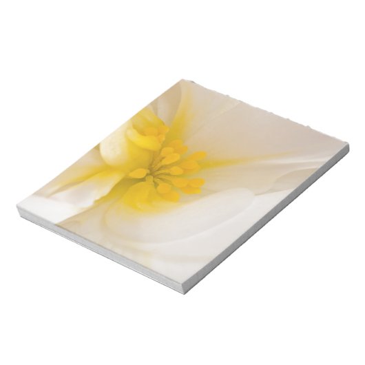 Weißer Begonia Notizblock (Rotiert)