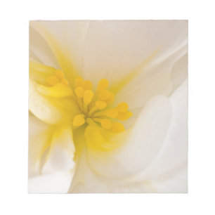 Weißer Begonia Notizblock