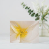 Weißer Begonia Postkarte (Stehend Vorderseite)