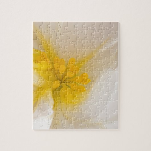 Weißer Begonia Puzzle (Vertikal)