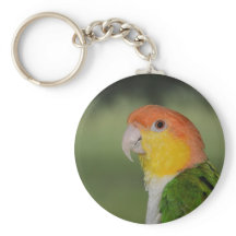 Weißer Belogen Kaikischer Papagei im Freien