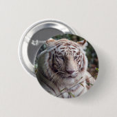 Weißer bengalischer Tiger Button (Vorne & Hinten)