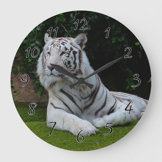 Weißer bengalischer Tiger Große Wanduhr (Vorderseite)
