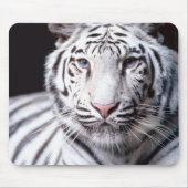 Weißer bengalischer Tiger Mousepad (Vorne)