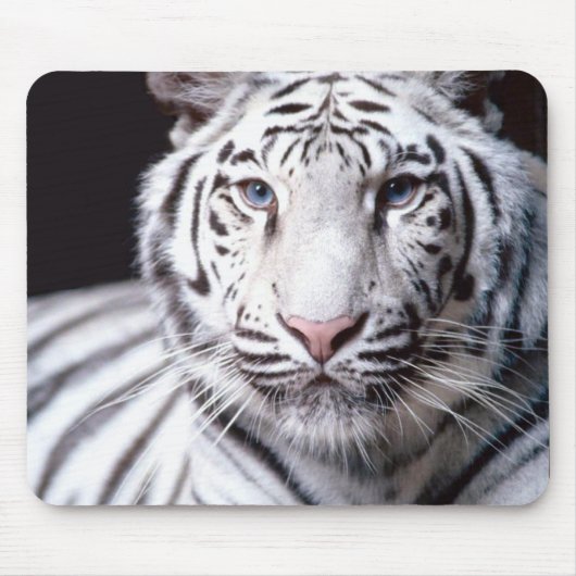Weißer bengalischer Tiger Mousepad (Vorne)