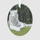 weißer bengalischer Tiger Ornament (Vorderseite)