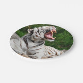 Weißer bengalischer Tiger-Papierplatte Pappteller (Schrägansicht)
