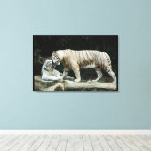 Weißer Bengalischer Tiger ummantelt Leinwanddruck (Insitu (Holzboden))