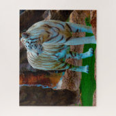 Weißer Bengaltiger. Große Katzen. Puzzle (Vertikal)