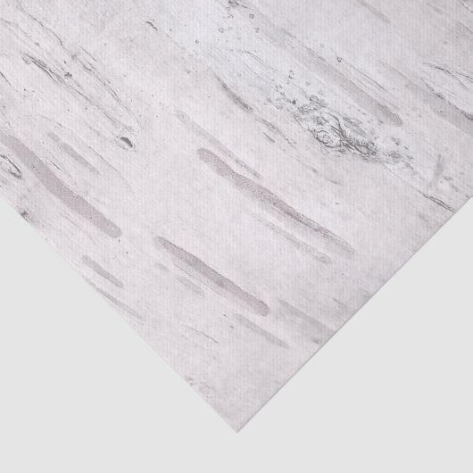 Weißer Birkenholz Rustikaler Landhaus Stall Seidenpapier (Ausschnitt)