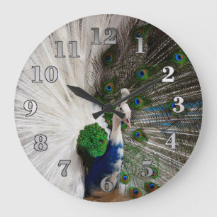 Weißer blauer Pfau Große Wanduhr