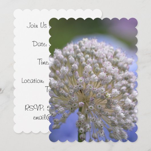 Weißer blühender Lauch Einladung (Vorne/Hinten)