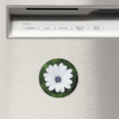 Weißer Blume-Magnet Magnet (In Situ (Geschirrspüler))