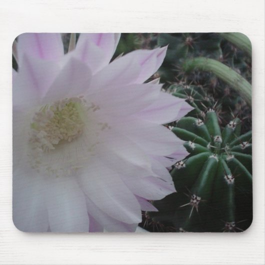 Weißer Blumen-Kaktus Mousepad (Vorne)