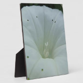 Weisser Blütenkelch Fotoplatte (Seite)