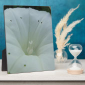 Weisser Blütenkelch Fotoplatte (Seite)