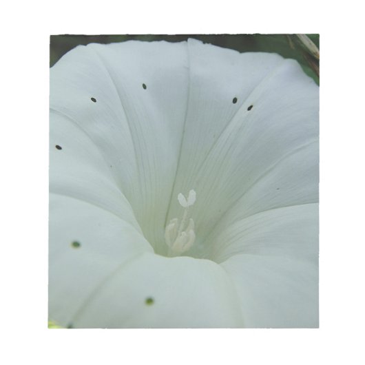 Weisser Blütenkelch Notizblock (Vorderseite)